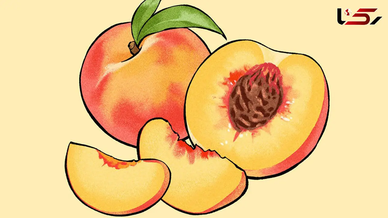 هلو؛ گنجینه‌ ای تابستانی برای سلامت پوست، چشم و بدن + بهترین روش های مصرف