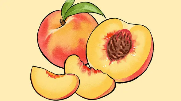 هلو؛ گنجینه‌ ای تابستانی برای سلامت پوست، چشم و بدن + بهترین روش های مصرف