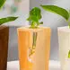 جدیدترین مدل های گلدان چوبی لوکس؛ انتخابی گرم و طبیعی برای دکوراسیون مینیمال