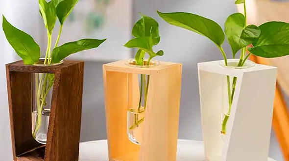 جدیدترین مدل های گلدان چوبی لوکس؛ انتخابی گرم و طبیعی برای دکوراسیون مینیمال