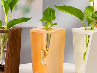 جدیدترین مدل های گلدان چوبی لوکس؛ انتخابی گرم و طبیعی برای دکوراسیون مینیمال