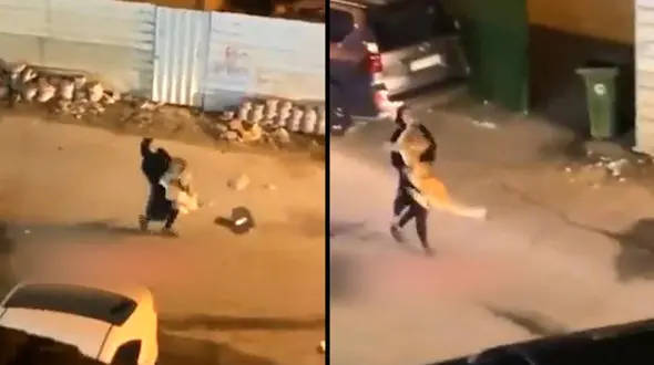 شیر وحشی به جای حیوان خانگی در آغوش دختر ایرانی + فیلم