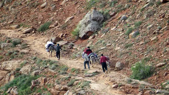 مرگ تلخ کارگر در ریزش معدن آلباغ اسفراین