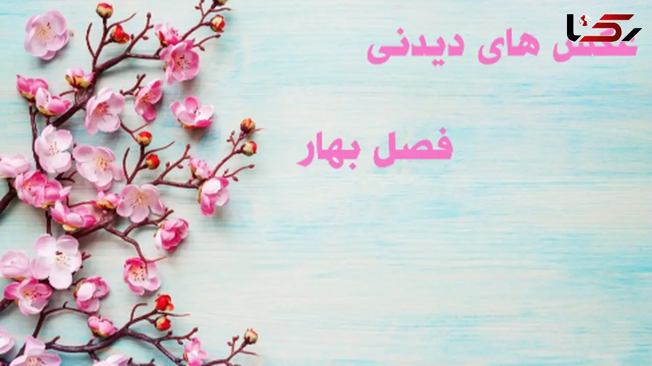 گلچین عکس های رویایی از فصل بهار با وضوح بالا