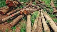 قاچاق چوب آلات جنگلی عمده ترین چالش در حوزه حفاظت از اراضی ملی