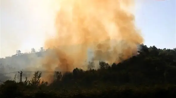 National Treasure Burns in Fire / Where Are the Firefighters? Hyrcanian Forest Ablaze, Officials Delayed! + Video