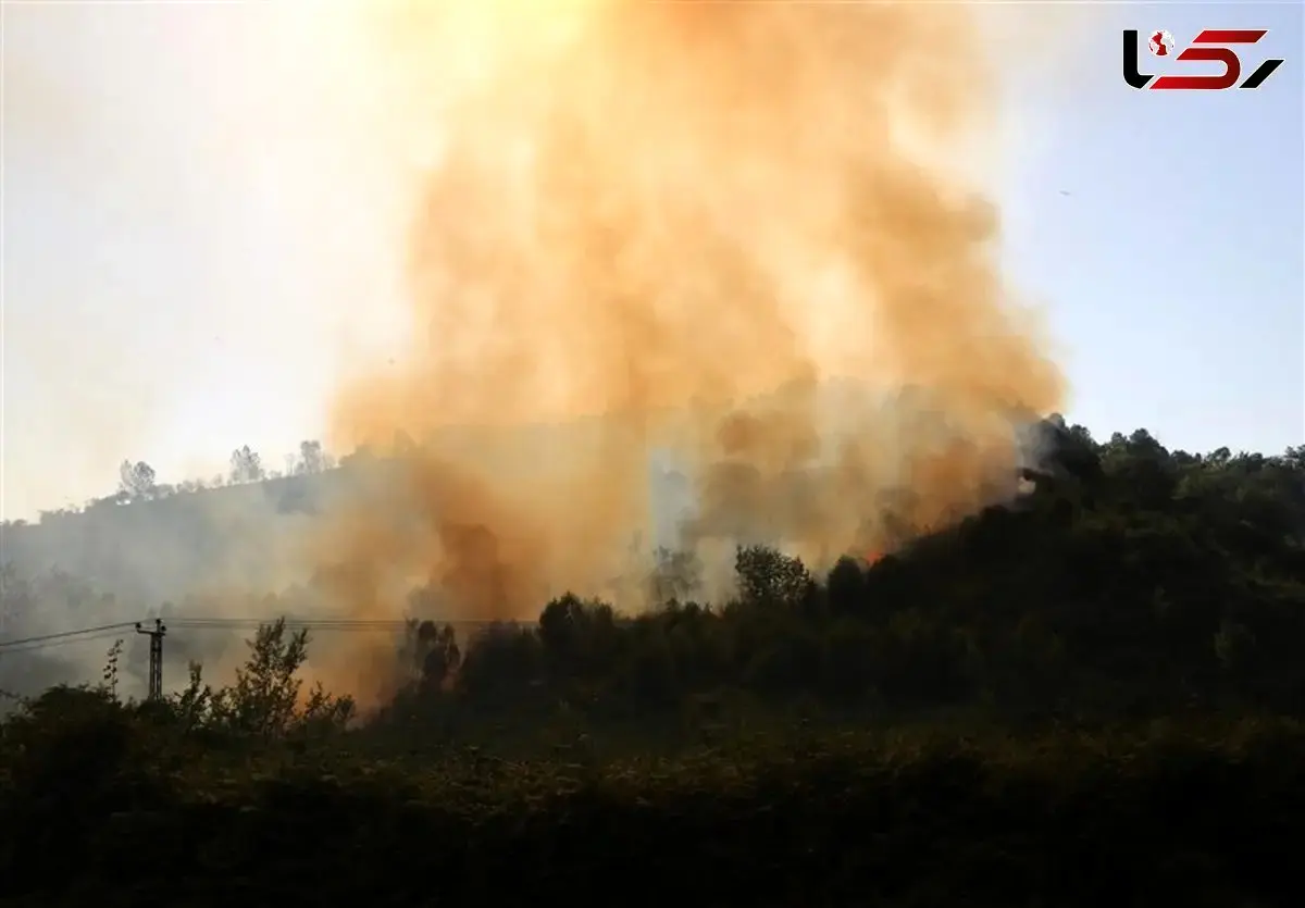 National Treasure Burns in Fire / Where Are the Firefighters? Hyrcanian Forest Ablaze, Officials Delayed! + Video