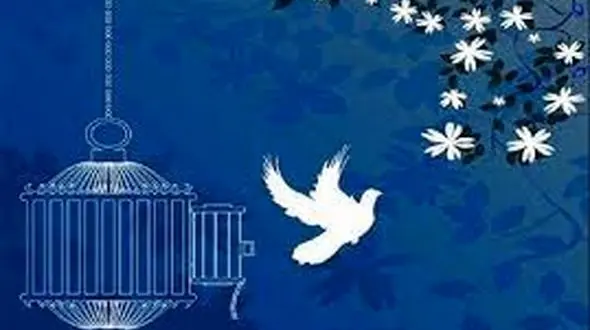 2 قاتل در اشنویه از چوبه دار رهایی یافتند