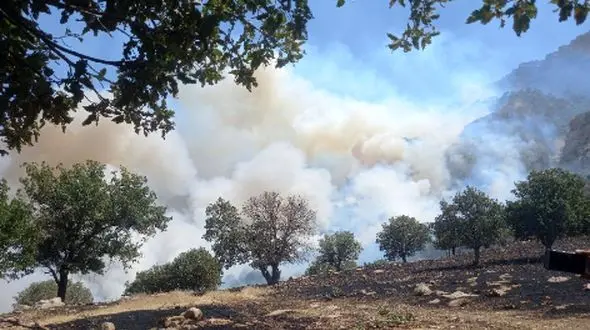 ۱۳ هکتار مراتع جنگلی گیلانغرب در آتش سوخت