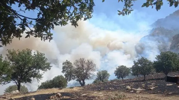 ۱۳ هکتار مراتع جنگلی گیلانغرب در آتش سوخت
