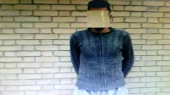 قوچ وحشی در روستاها زورگیری می کرد+ عکس 