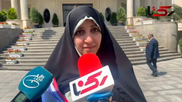 لایحه منع خشونت علیه زنان به کجا رسید؟