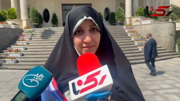 معاون پزشکیان: یک زن در مجلس به شدت مخالف ماده «رومینا» در لایحه منع خشونت علیه زنان است + فیلم