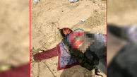 16+ فیلم و عکس جسد خورده شده یک زن در  شیراز / او را می شناسید؟!