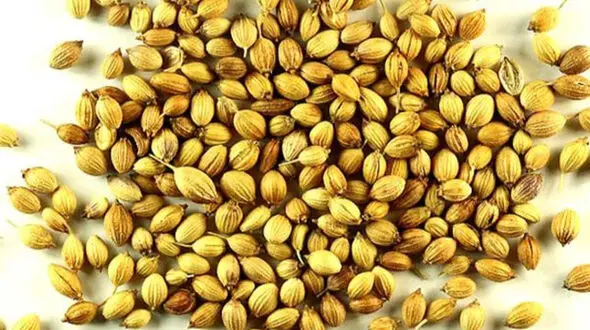 از بین بردن لک و روشن پوست با ترنجبین