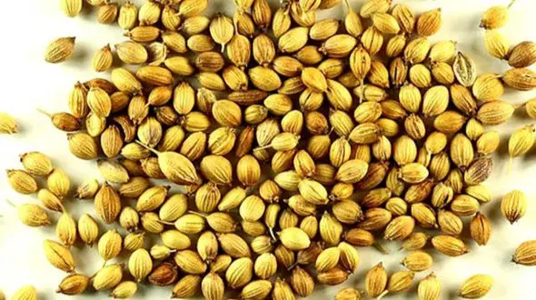 از بین بردن لک و روشن پوست با ترنجبین