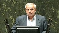 کوچکی نژاد: هنوز هم 7 میلیون ایرانی خارج از کشور یارانه می گیرند / وزارت خارجه و وزارت کار فهرست یارانه بگیران را اصلاح کنند + صوت