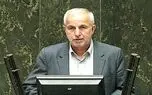 کوچکی نژاد: هنوز هم 7 میلیون ایرانی خارج از کشور یارانه می گیرند / وزارت خارجه و وزارت کار فهرست یارانه بگیران را اصلاح کنند + صوت