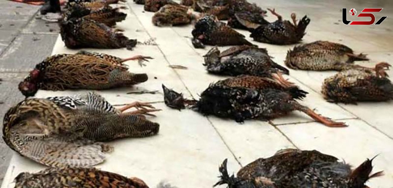 2 شکارچی متخلف در خوزستان دستگیر شدند