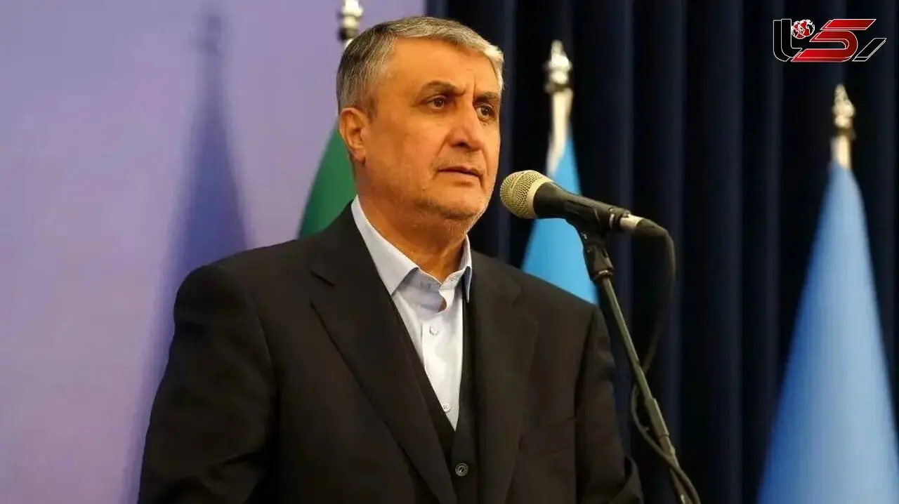 Head of the Atomic Energy Organization of Iran: The Agency Lost Its Credibility After the Attack on Iran