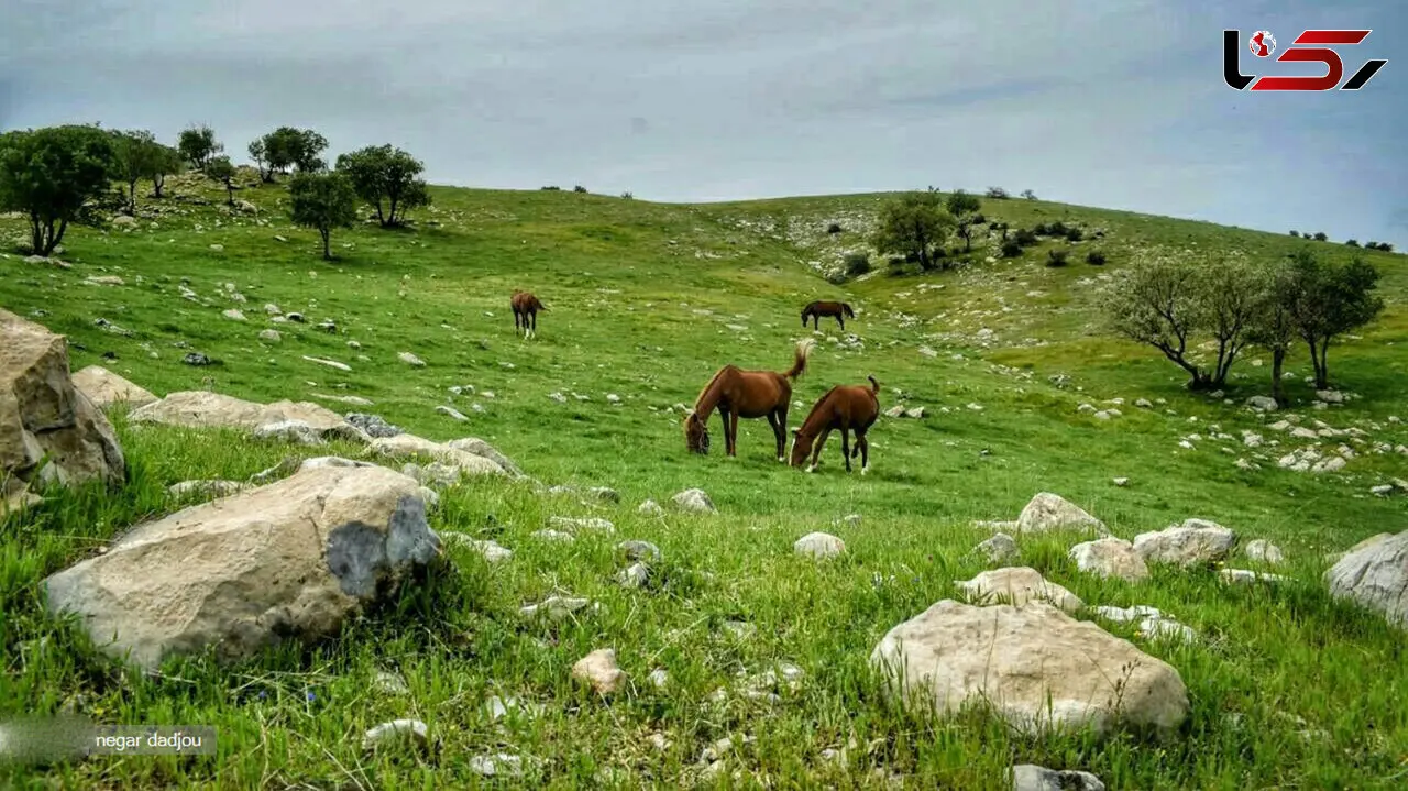 سفر به ایلام در فصل بهار + فیلم