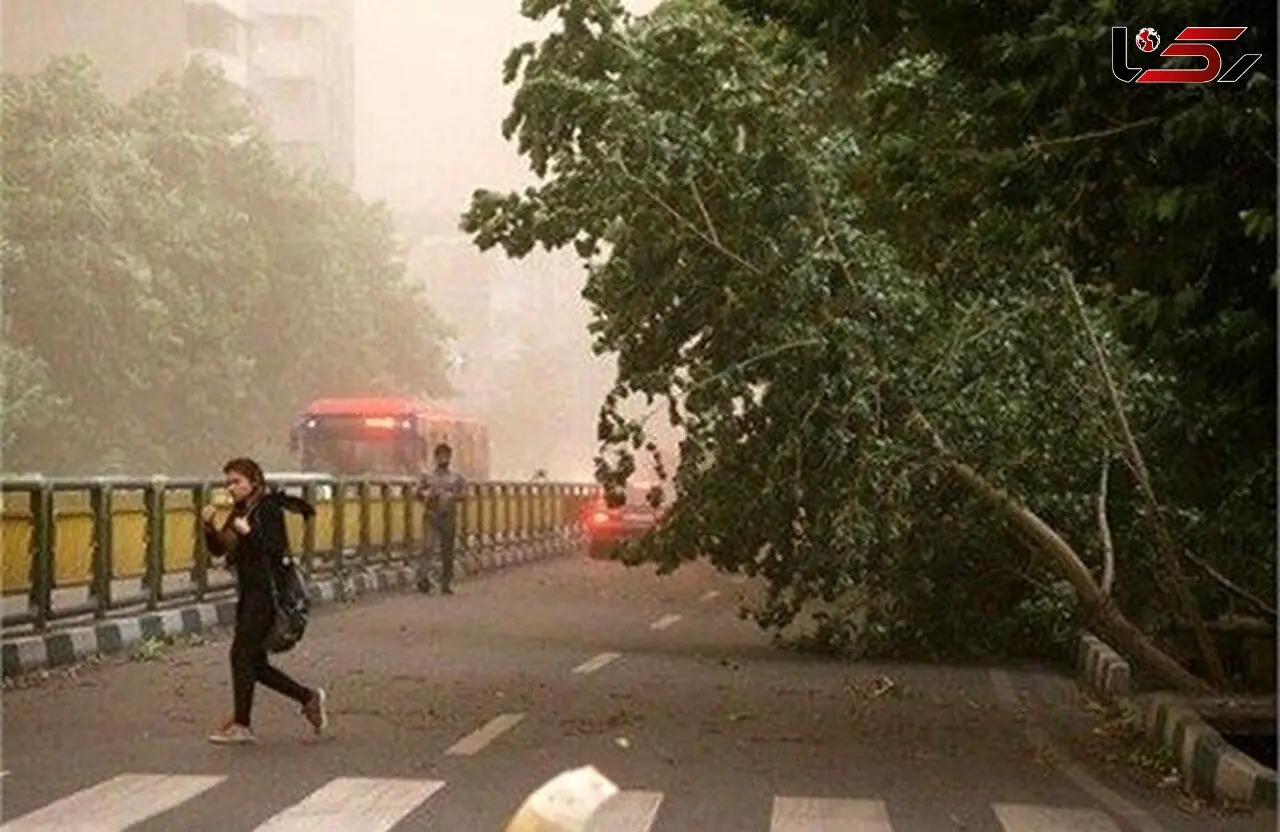 تهرانی‌ها آماده باشند: رگبار و رعد و برق در راه است