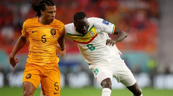 جام‌جهانی 2022 قطر/ پیروزی هلند مقابل سنگال