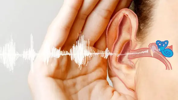 هشدار استاد شنوایی‌ شناسی: چقدر صدا باعث آسیب می‌ شود؟