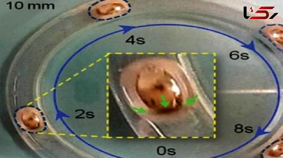 وقتی یک قطره فلز موتور را به حرکت درمی‌ آورد!