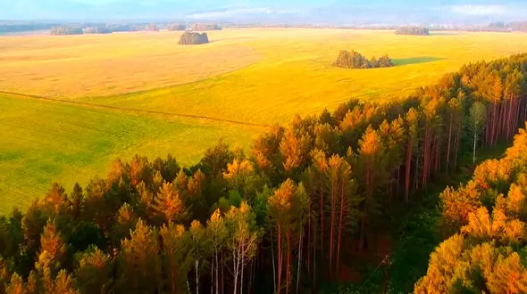 آهنگ خزونه خزونه صدای محسن چاوشی + فیلم 