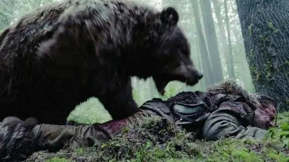 خرس وحشی بینی و لب های این مرد را کند +عکس