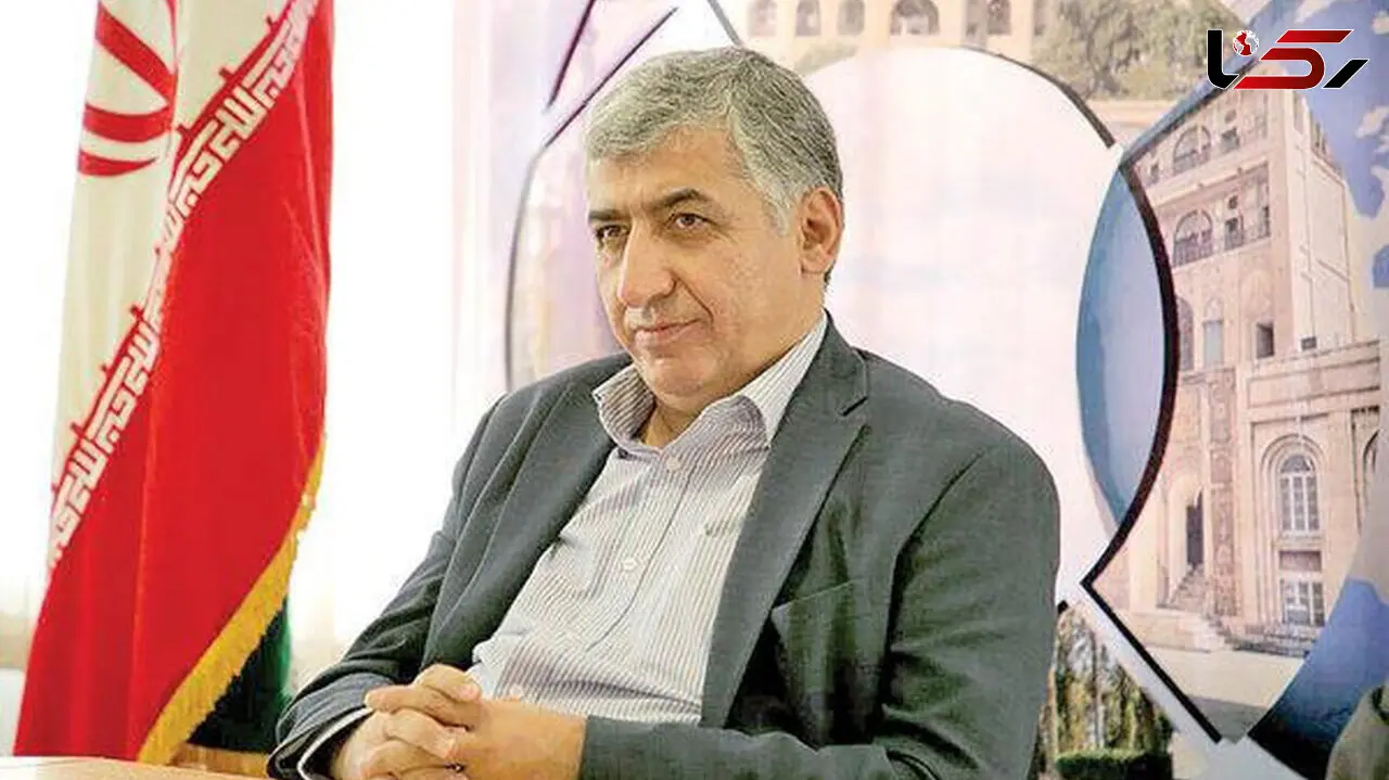 رفیعی: هتل های  2 ستاره کشور پول هتل چهار ستاره را از مردم می گیرند/ دولت کمک کند هزینه سفر کاهش یابد/ صنعت هوانوردی کاملاً مافیایی شده است + فیلم