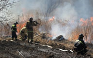 وقوع آتش‌سوزی در محدوده جنگل فندقلوی نمین