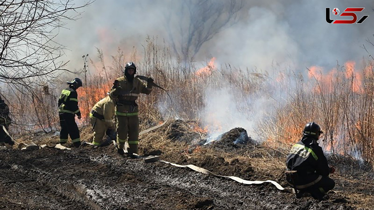 وقوع آتش‌سوزی در محدوده جنگل فندقلوی نمین