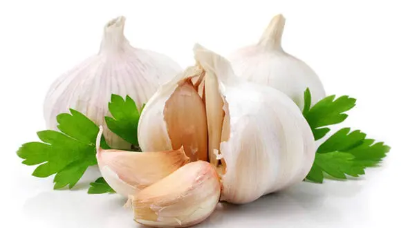 8 خواص شگفت انگیز سیر را بشناسید