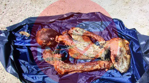 انتشار عکس اسکلت  مردایرانی مقیم آمریکا که در کرج پیدا شد ! / فاش شدن اتفاقی راز قتل + جزییات