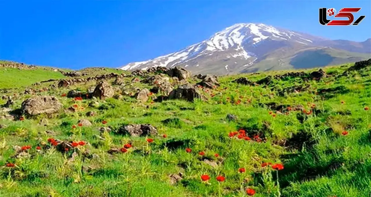 مهم ترین اخبار 24 ساعت گذشته مازندران 