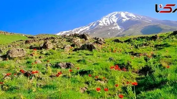 مهم ترین اخبار 24 ساعت گذشته مازندران 