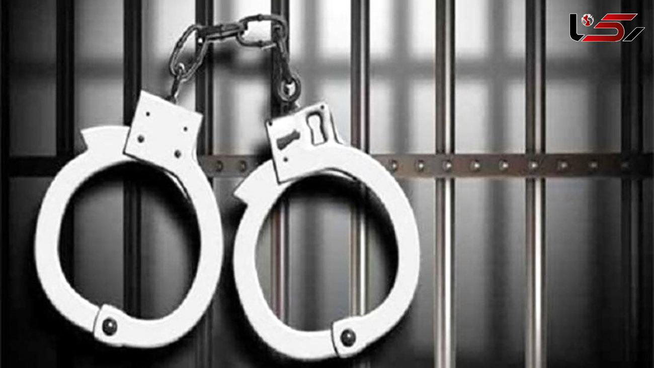 بازداشت دزدان حرفه‌ای در میانه