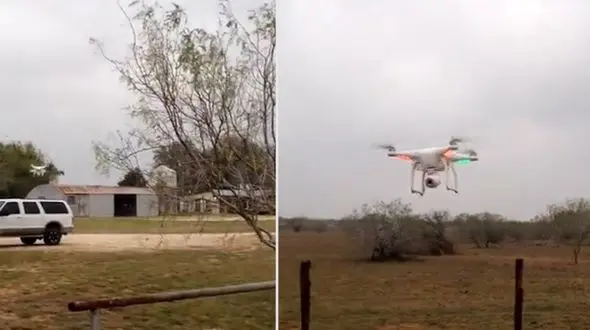 تصادف یک پهباد با خودروی شخصی+ فیلم و عکس