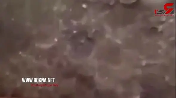 کشف اسکلت عجیب یک زن که شبیه آدم فضایی ها است+فیلم