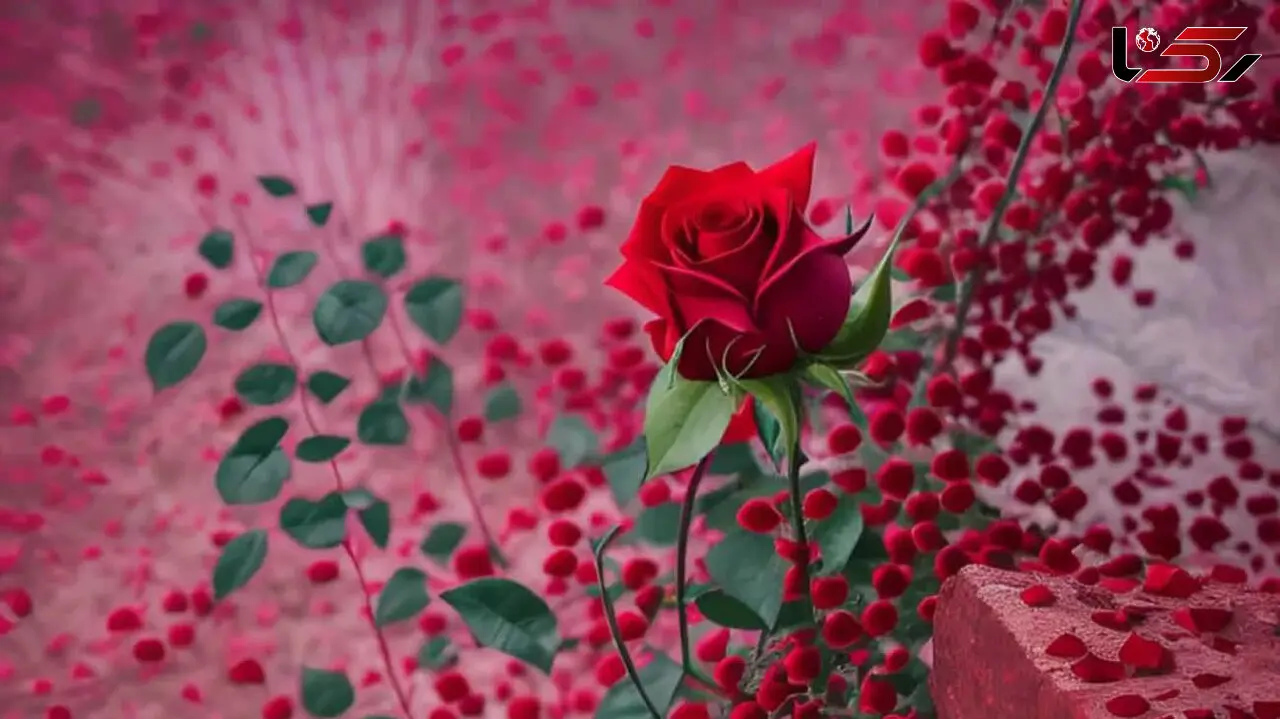 فال ابجد امروز 22 اسفند + فیلم