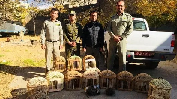 دستگیری یک زنده‌گیر کبک در بوکان
