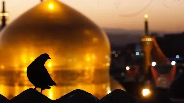 راز مقبره ۵ چهره عجیب در حرم حضرت رضا (ع)؛ از «نخودکی» و «پالاندوز» تا «جیگی‌جیگی» نوازنده + تصاویر