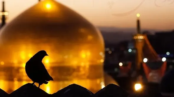 راز مقبره ۵ چهره عجیب در حرم حضرت رضا (ع)؛ از «نخودکی» و «پالاندوز» تا «جیگی‌جیگی» نوازنده + تصاویر