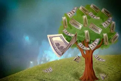 سودهای عجیب و نجومی یک استارتاپ ایرانی با خرید و فروش درخت؟!