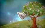 سودهای عجیب و نجومی یک استارتاپ ایرانی با خرید و فروش درخت؟!
