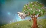 سودهای عجیب و نجومی یک استارتاپ ایرانی با خرید و فروش درخت؟!