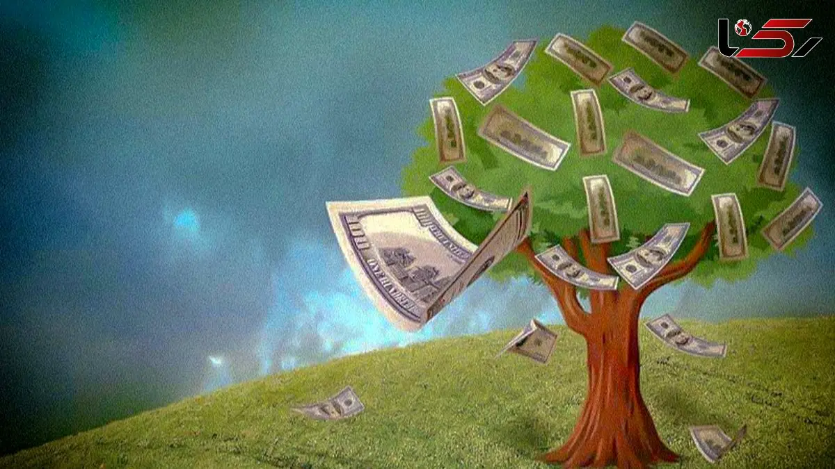 سودهای عجیب و نجومی یک استارتاپ ایرانی با خرید و فروش درخت؟!
