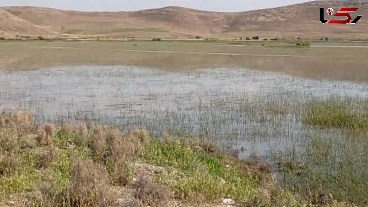یک تالاب دیگر در آذربایجان‌غربی احیا شد / «درگه لطف الله» نقده بعد از ۲۵ سال